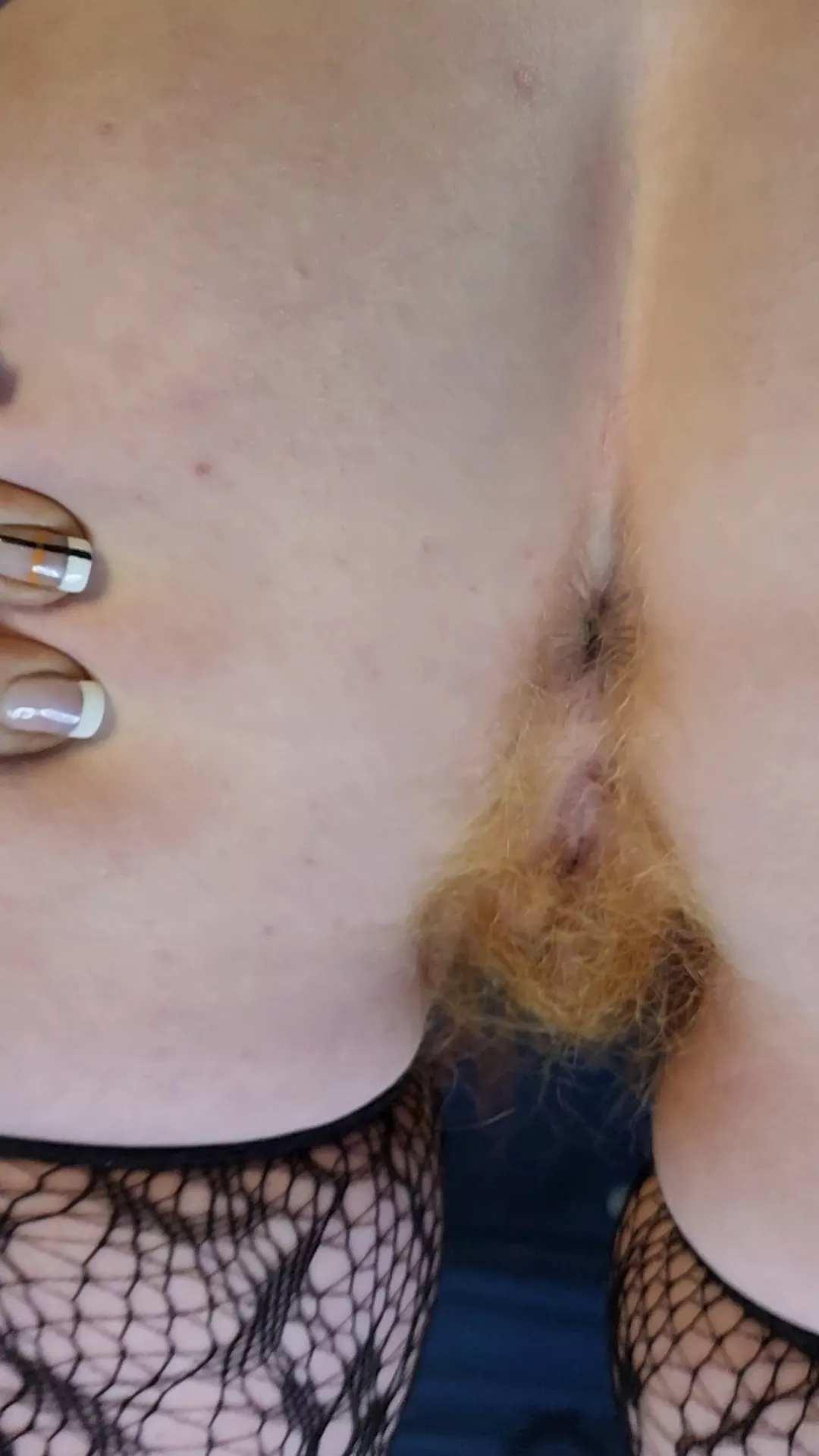 Meow posted by ababypinecone