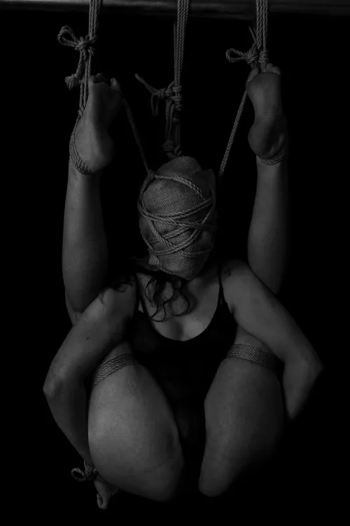 moon's a thing for cattle by that_new_EPROM_tho