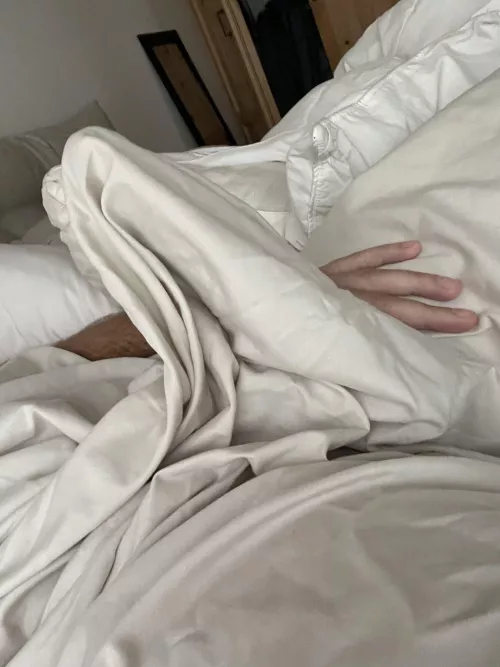 Morning wood behind the sheets by thisisthehrdstprt2