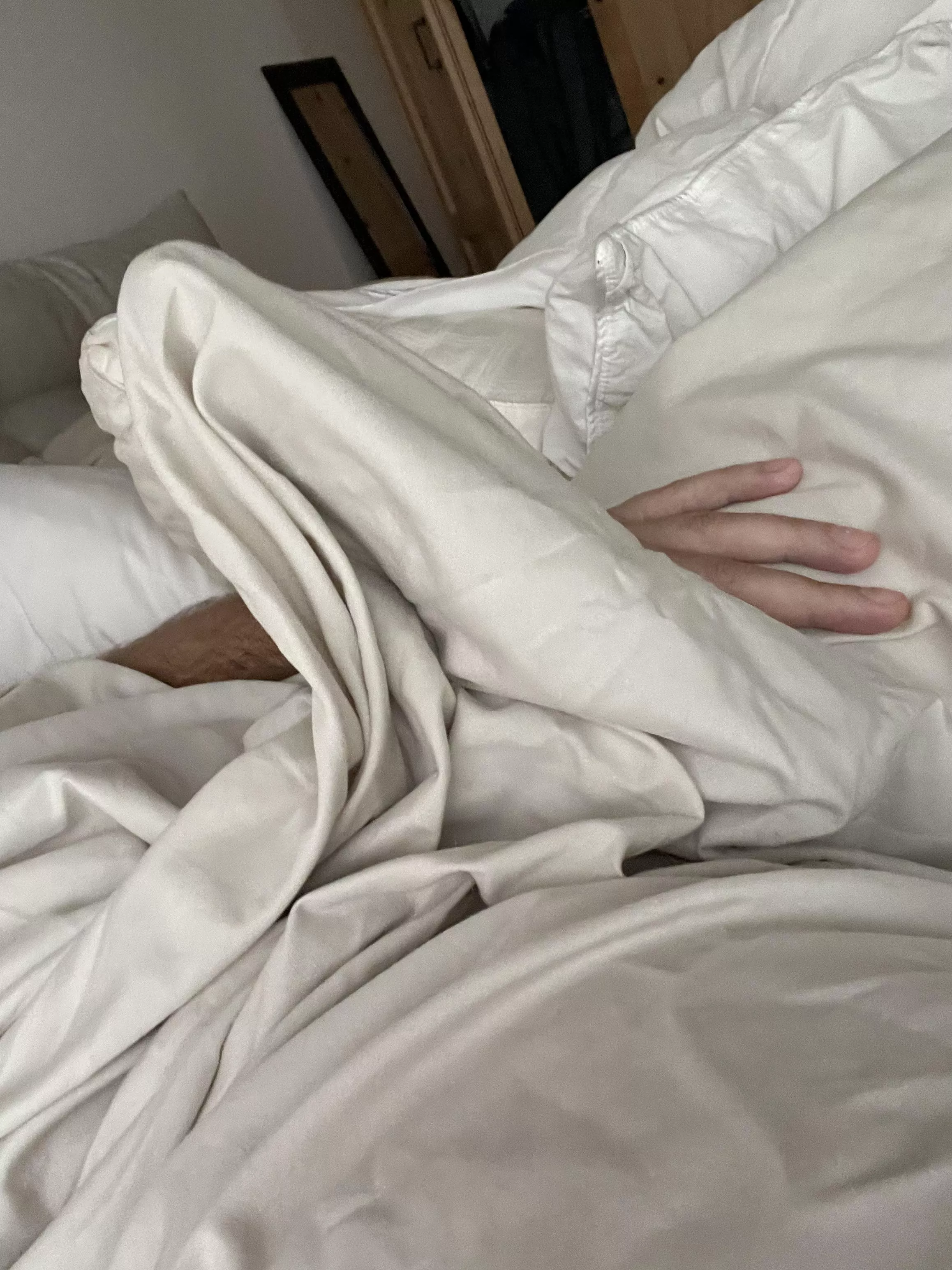 Morning wood behind the sheets posted by thisisthehrdstprt2