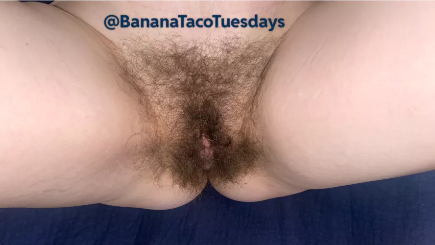 Should I shave and start my bush from the beginning? by BananaTacoTuesdays