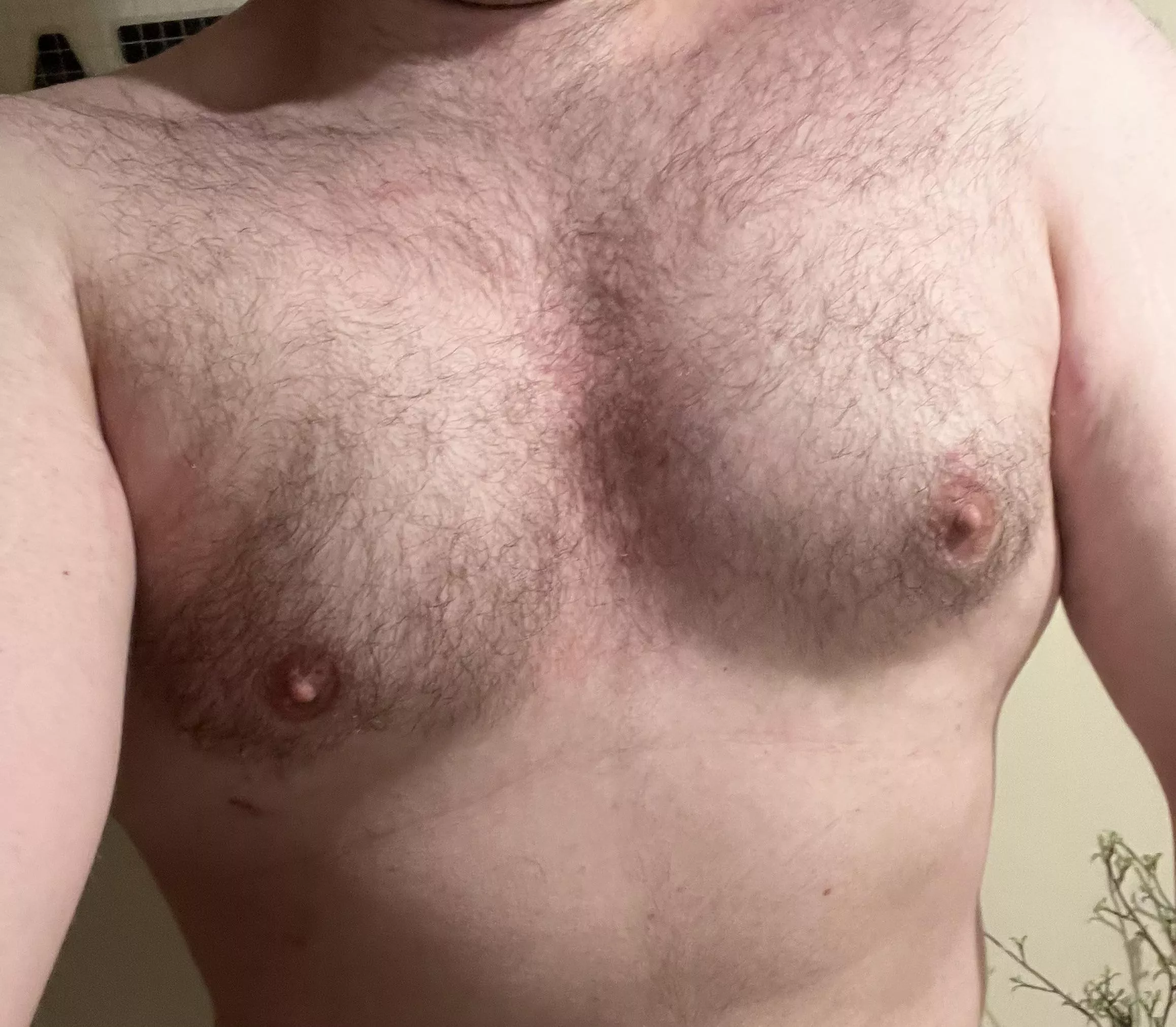 Slowly but surely the chest is coming along posted by SpikeTac2233