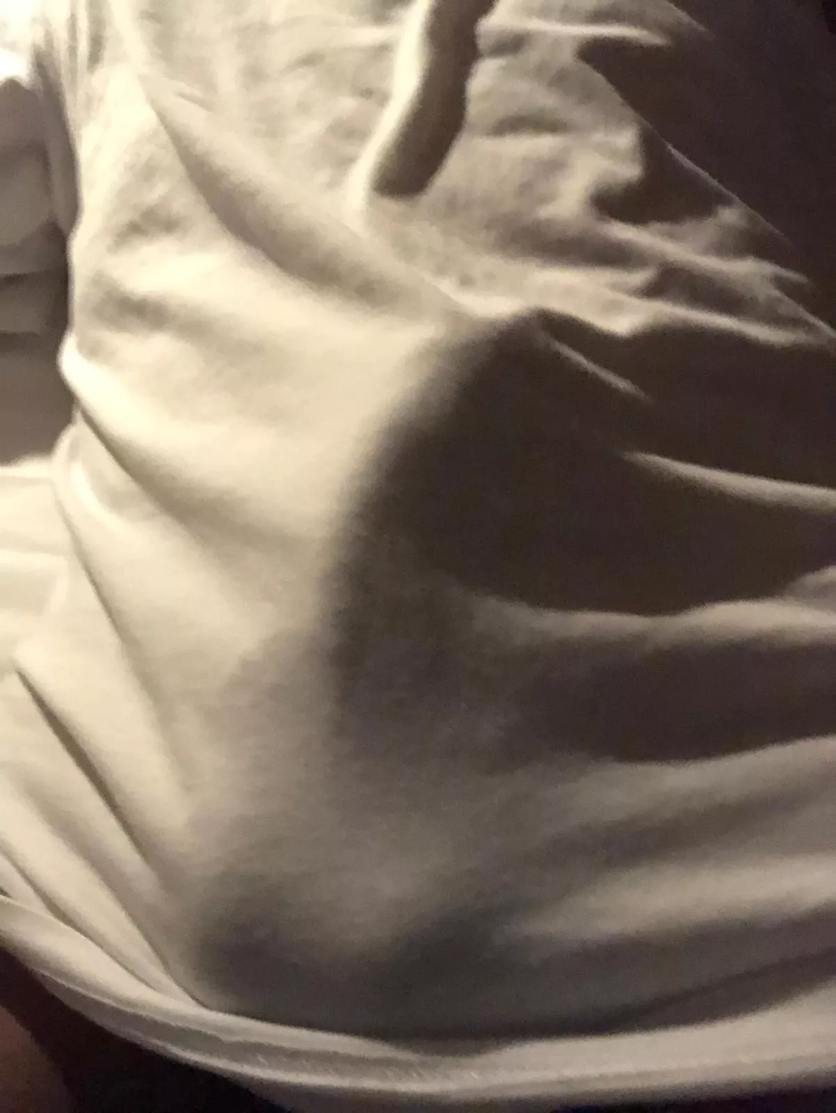 Tempt you for more? posted by dudesgotspunk