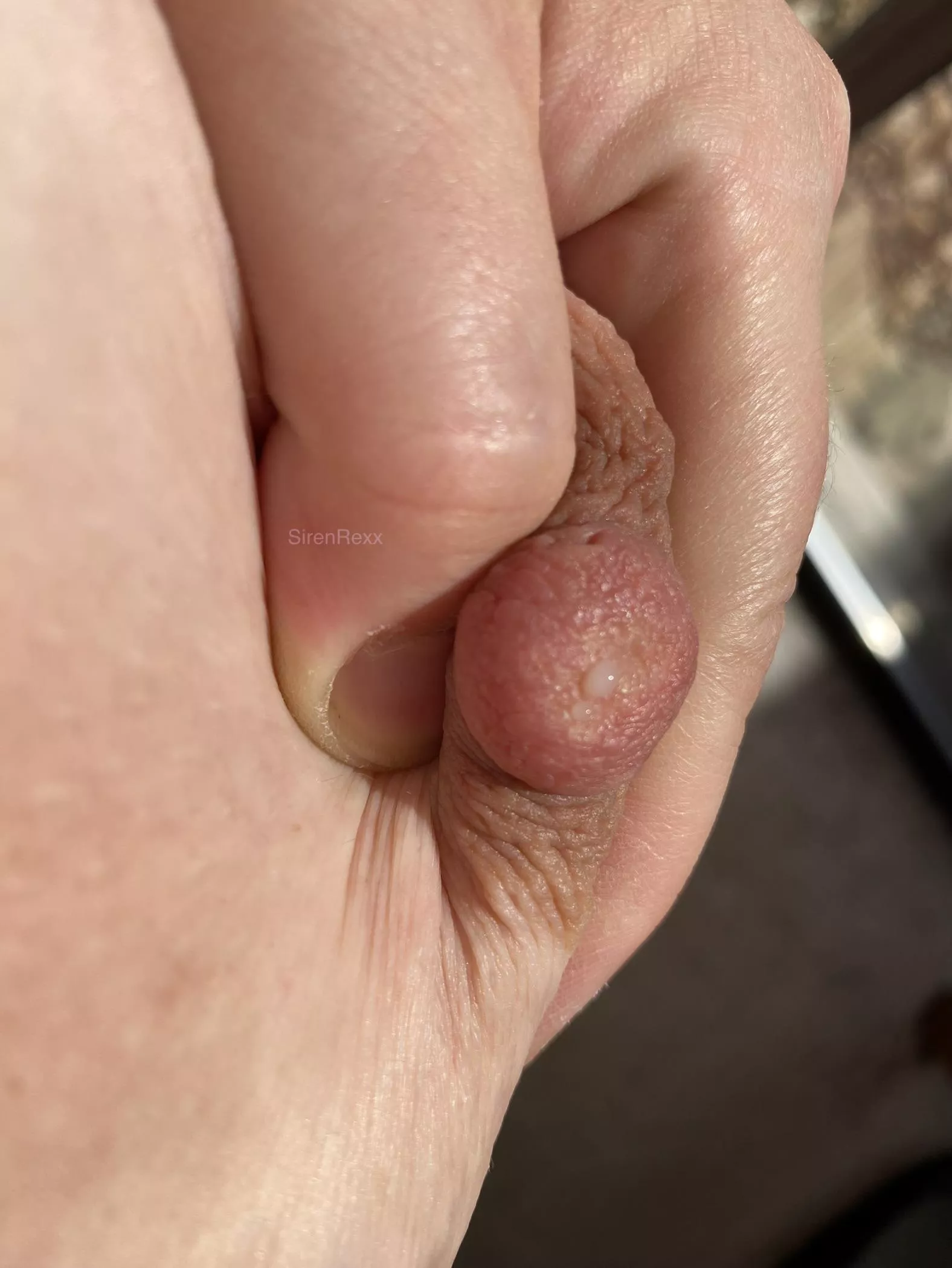 Who will lick up this mess I’m about to make? posted by SirenRexx