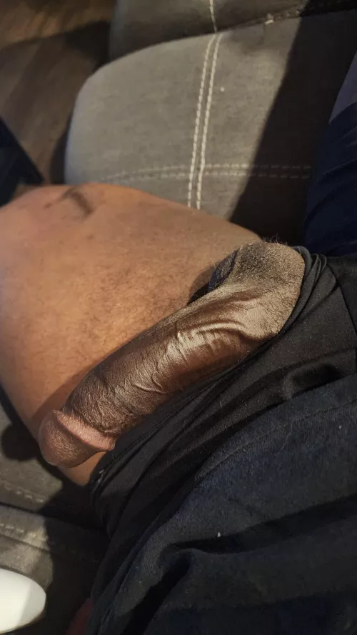 Any takers? by fungi6969