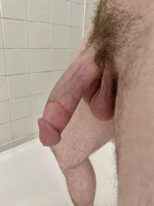 Any thoughts? by 4533_hippo