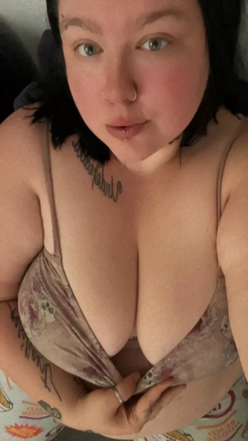Could you date this 28 year old chubby girl with big tits? by thebreezybabe