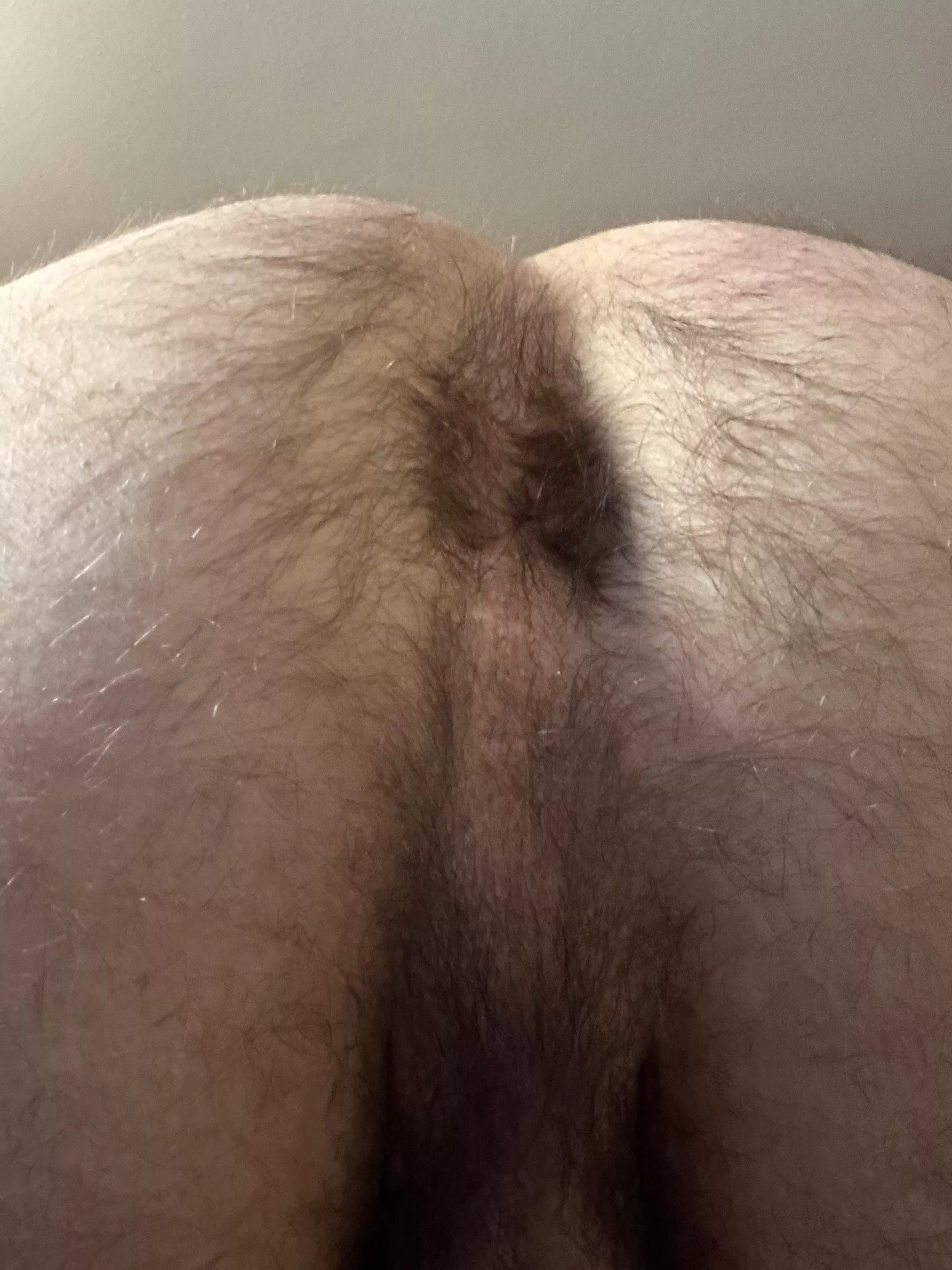 Don’t mind the fur posted by RealityMission7829