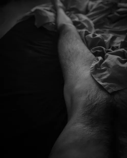 French canicule by ThrowaWayGumClock