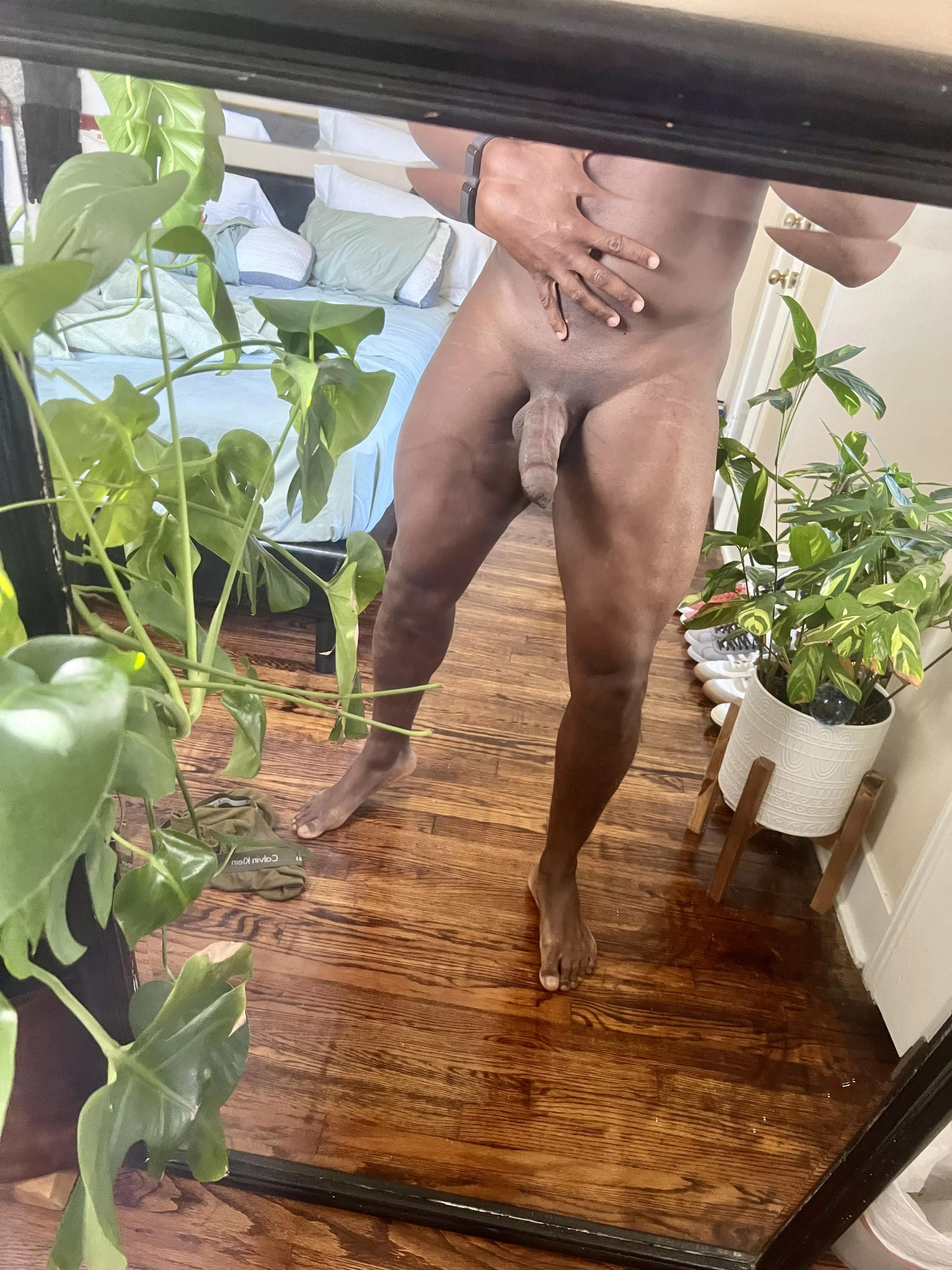 Freshly shaved posted by ADeepRead