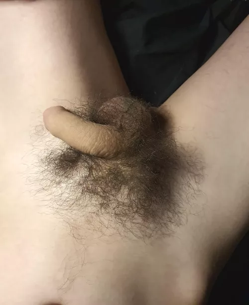 it gets bigger, i promise by blaharges