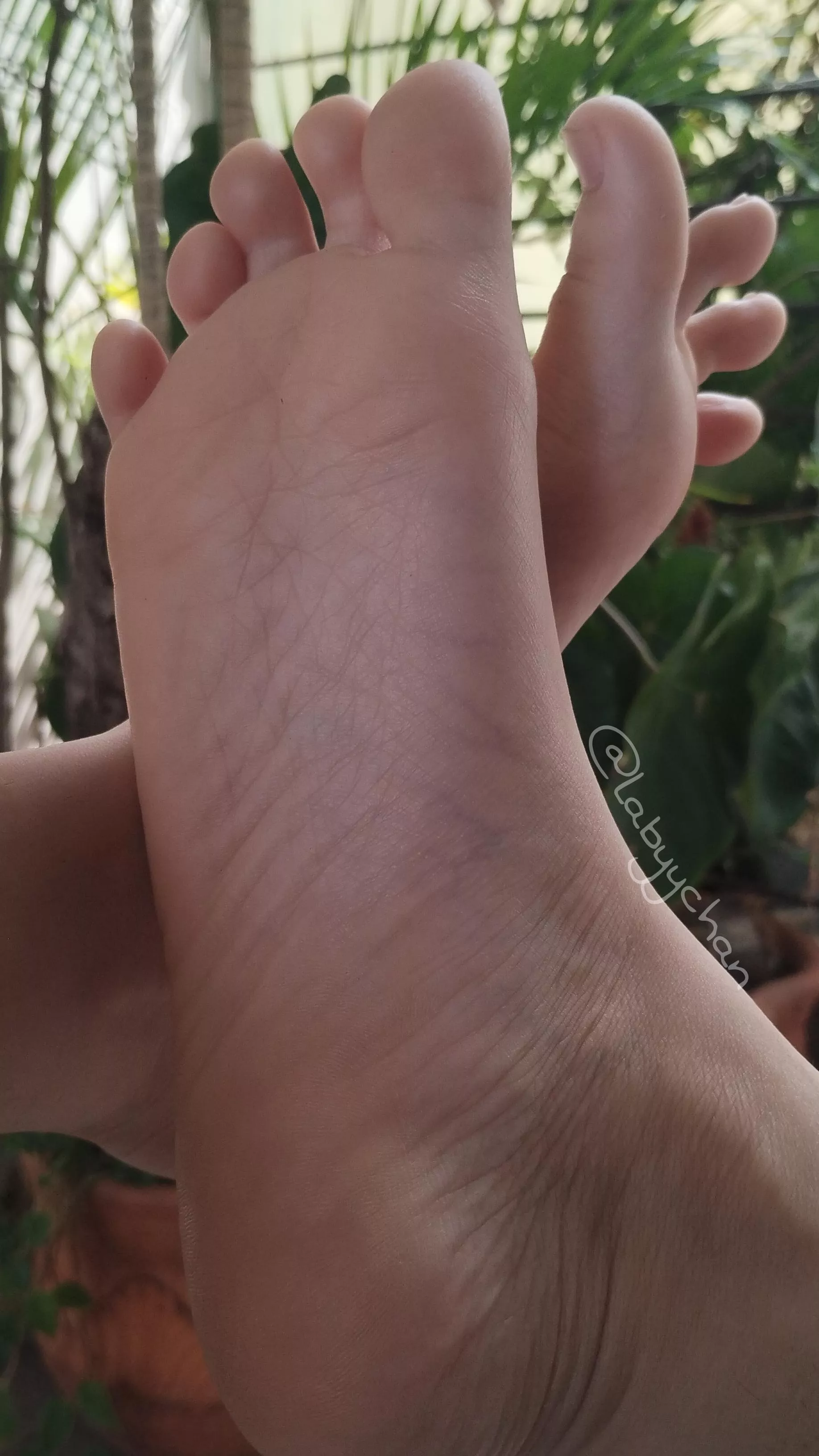 new here! afternoon chilling <; posted by labyychan