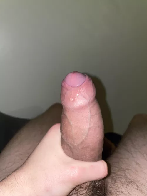 Thoughts on my leaking cock? by dodgeydolphin1