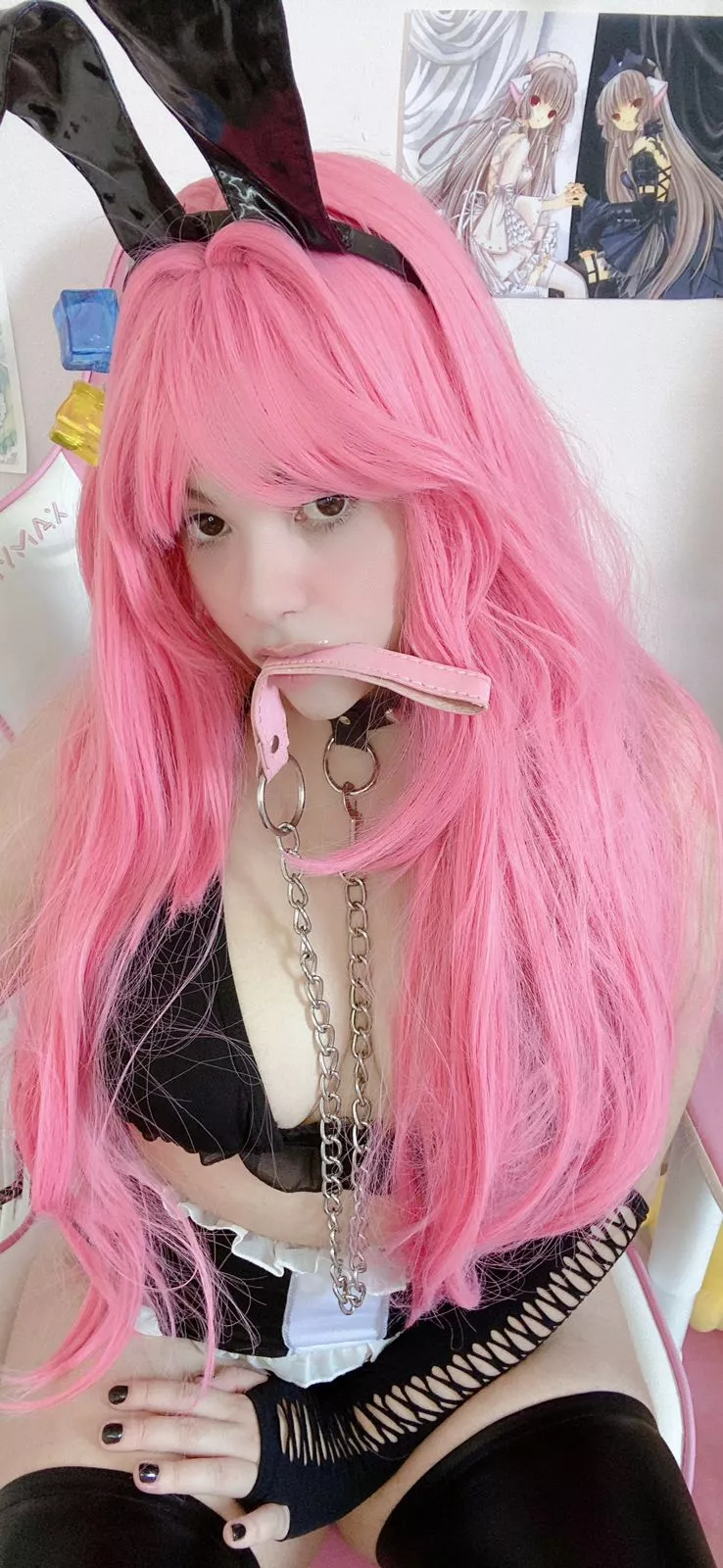 Walkies with bunnie? posted by bwnniepaws