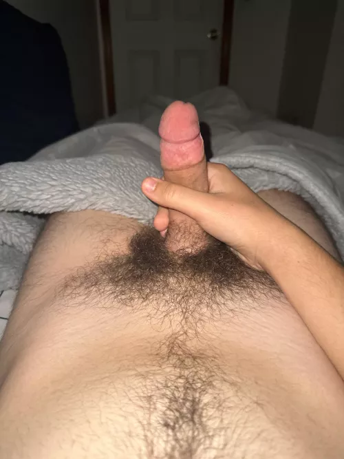 19m is my teen penis hairy enough? dm me? by brady_wilso2001