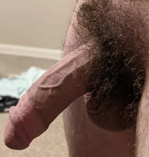 30m bush selfie by hairylimited