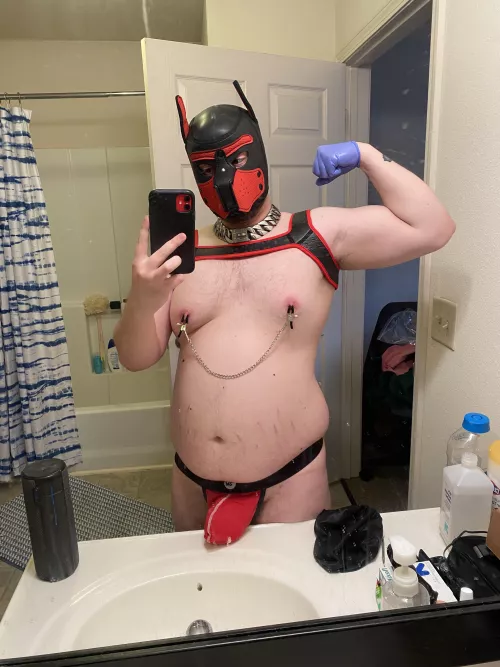 Beefy pup with a beefy bulge! by SatinTeddyBear