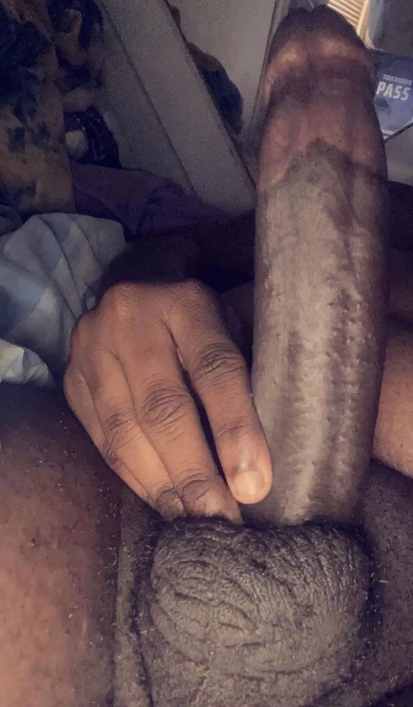 Big enough? posted by Jay4320