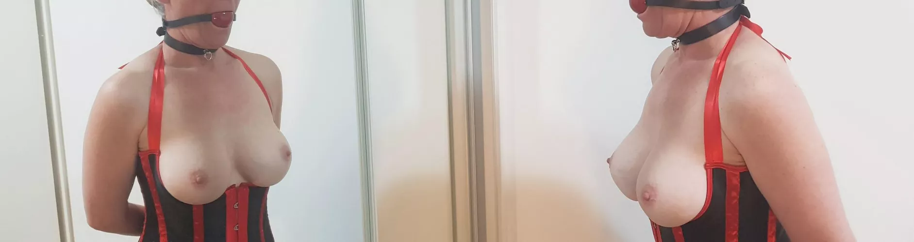 Collared and Silent [F] by redranga66