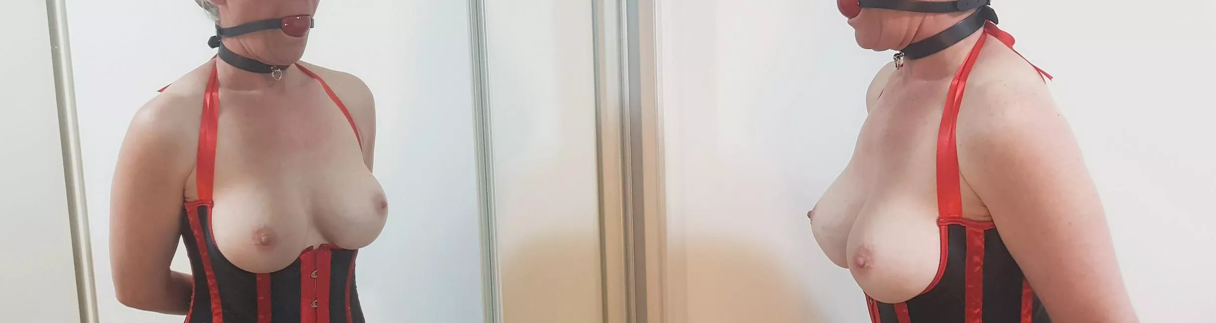 Collared and Silent [F] posted by redranga66