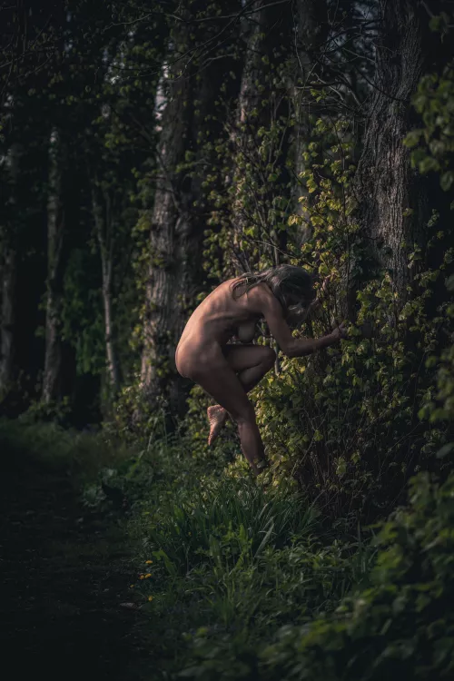 Evening light hugging trees by HelenSaunders