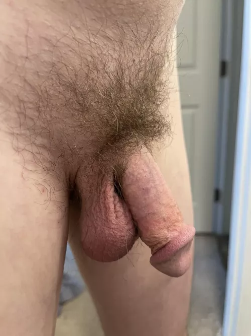 Here’s my bush by Fast-Sprinkles-7215