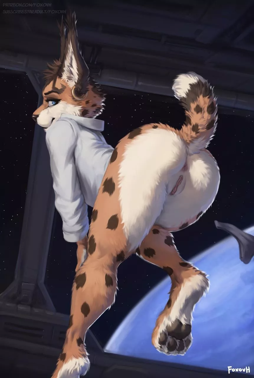 Miyu Lynx [F] (Foxovh) posted by 5headedragon