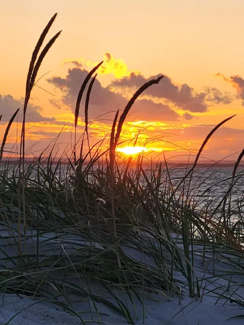 Sunset last night. by Intelligent-Cable-43