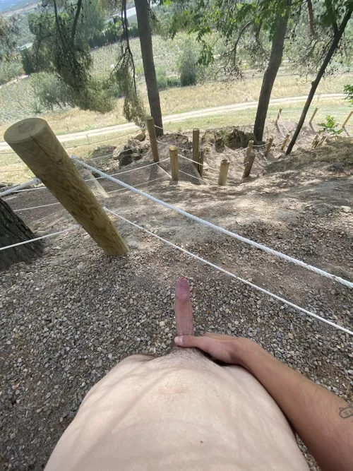 That was a good trail by Accomplished-Mode-35