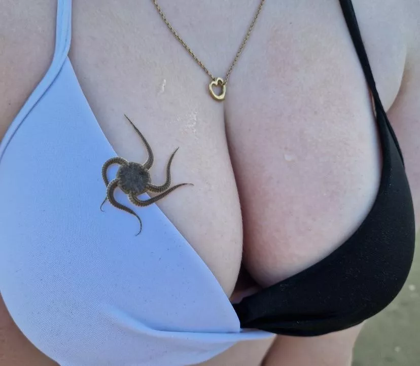 This little guy could not keep his hands off me 🍒 🐙 posted by Whenceyank