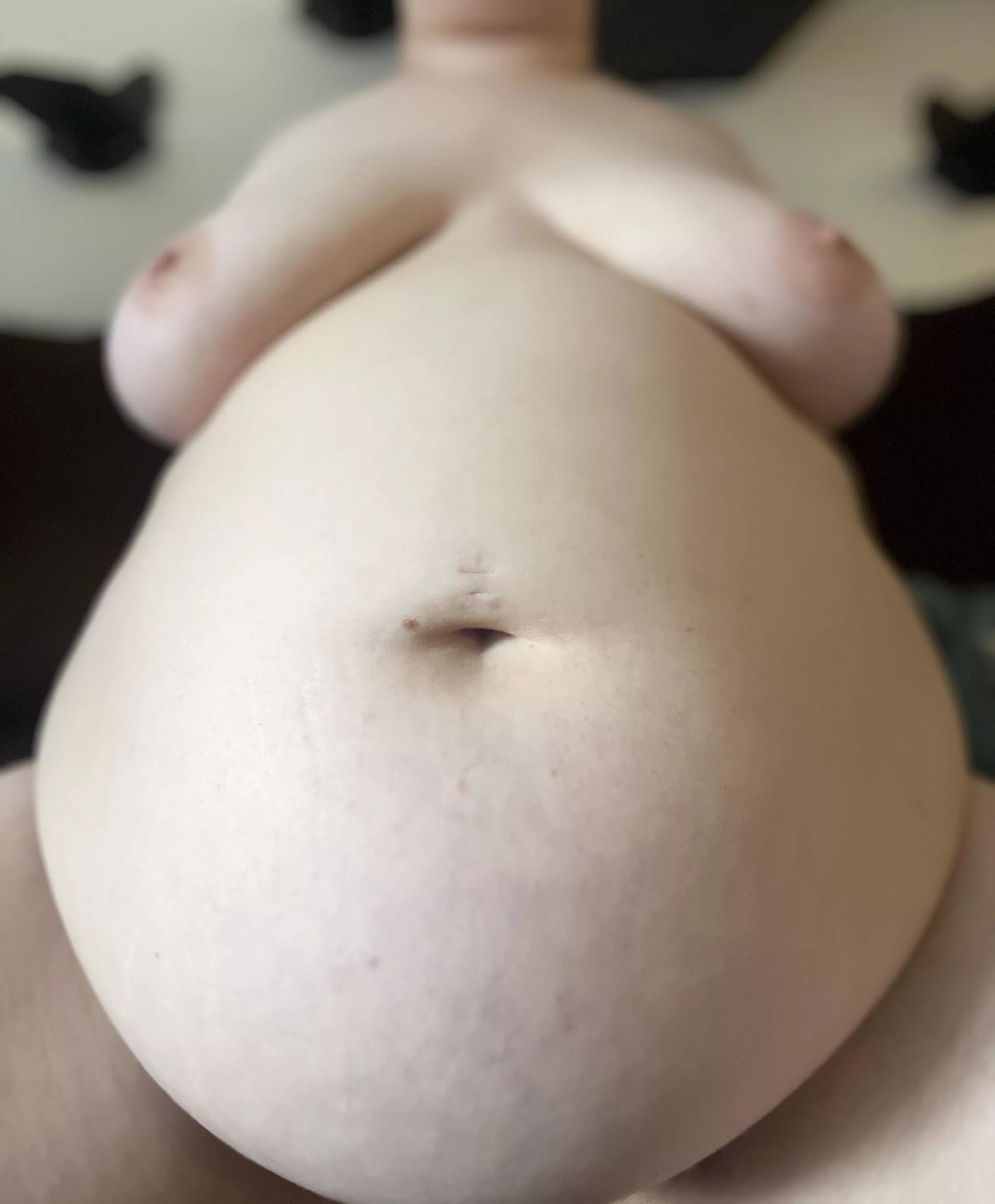 what a weekend of gluttony does 🥵 posted by bbwaria31