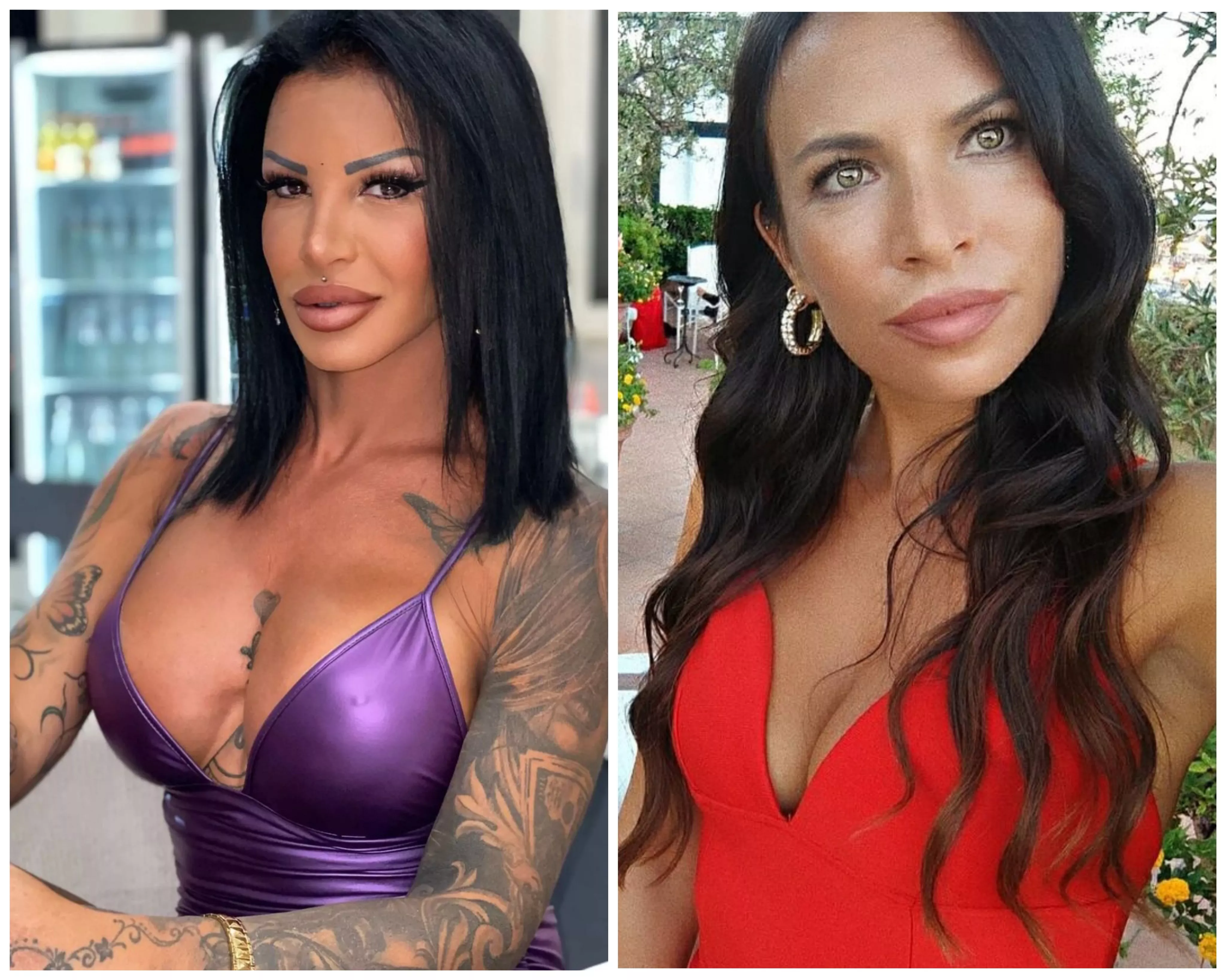 Who would win in a fight and how? posted by Fit_Pin4644