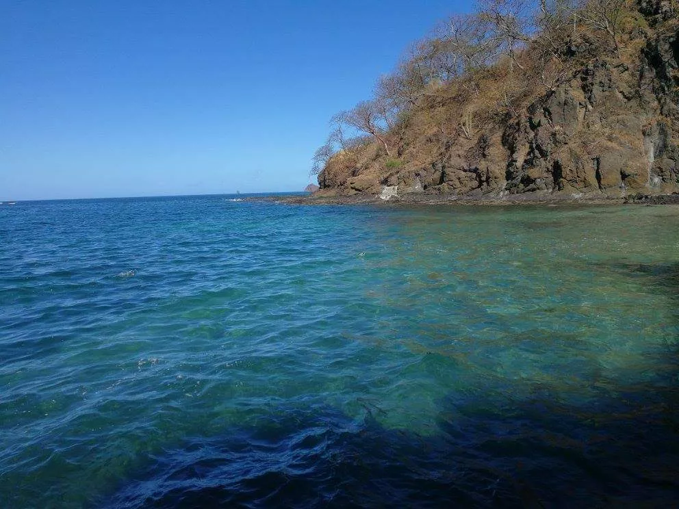 💙Agua turquesa💚 posted by ElytheWifey