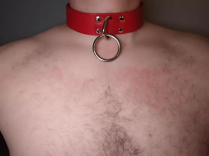 All collared up and ready to serve ⛓️ by Feisty_T85