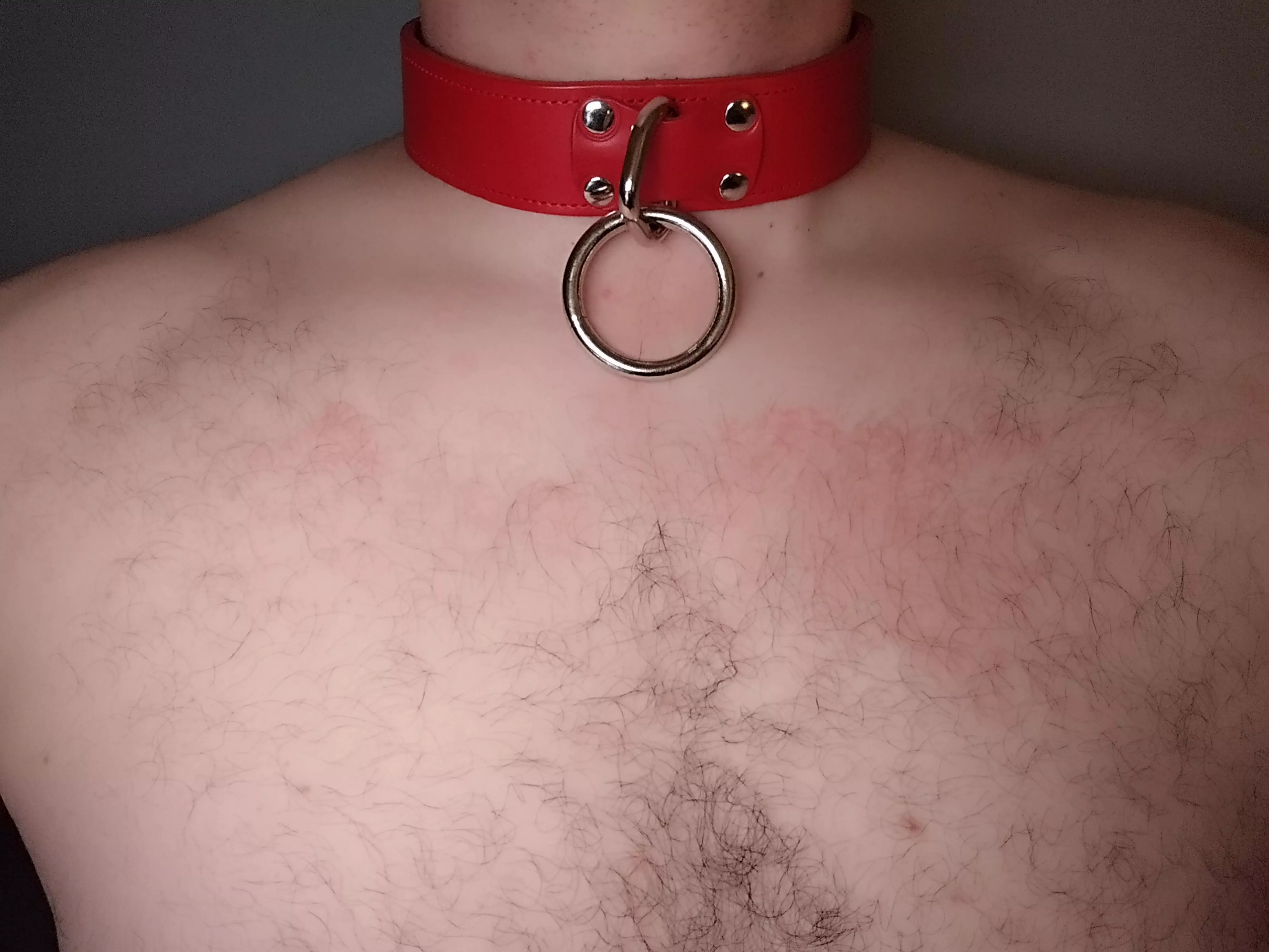 All collared up and ready to serve ⛓️ posted by Feisty_T85