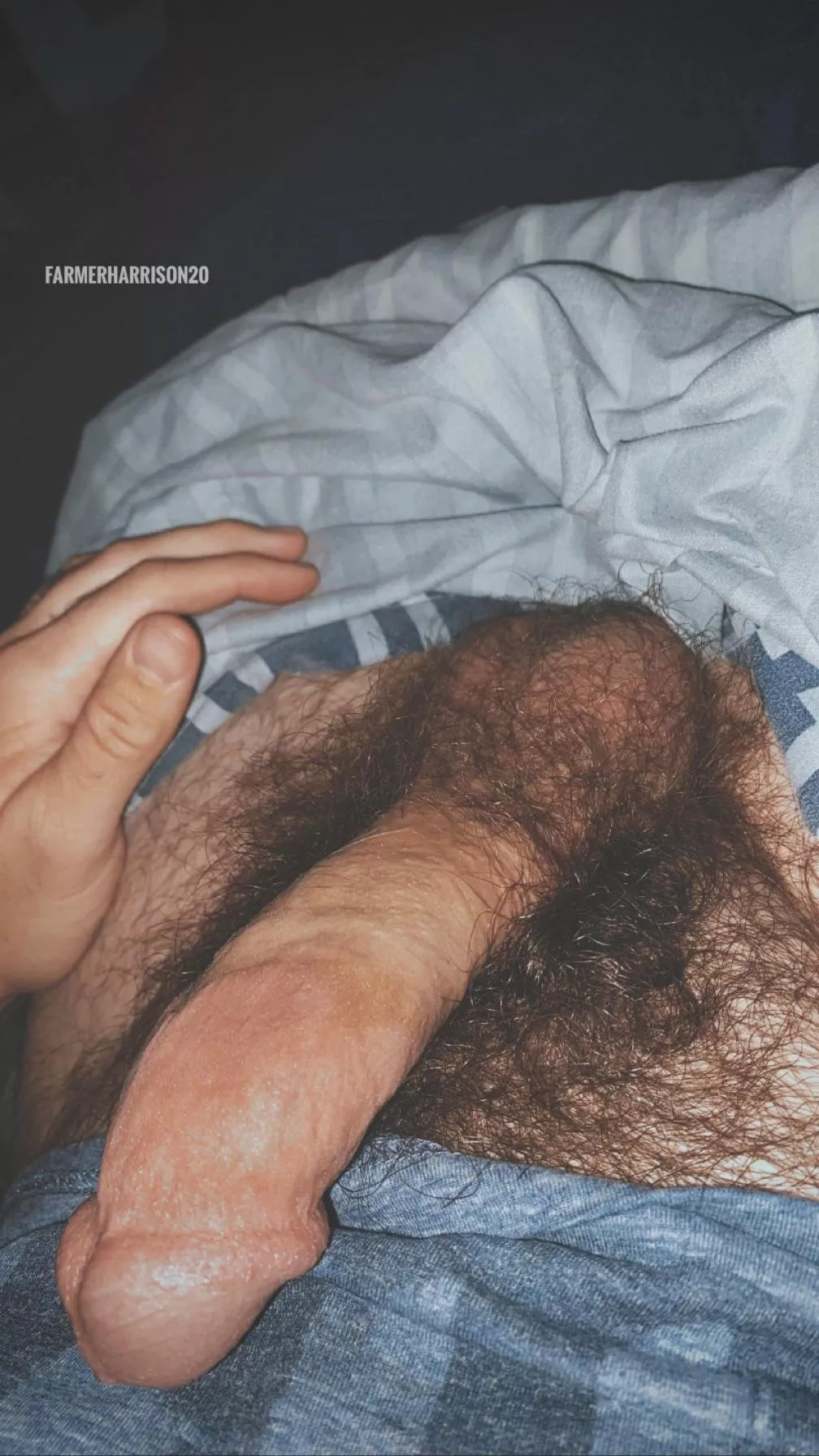 Big otter cock and god it smells good posted by FarmerHarrison20