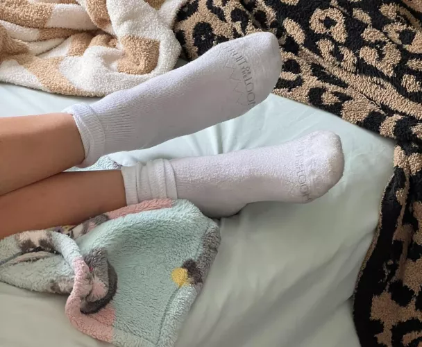 Clean Fruit of the Loom by girlsinsocks69