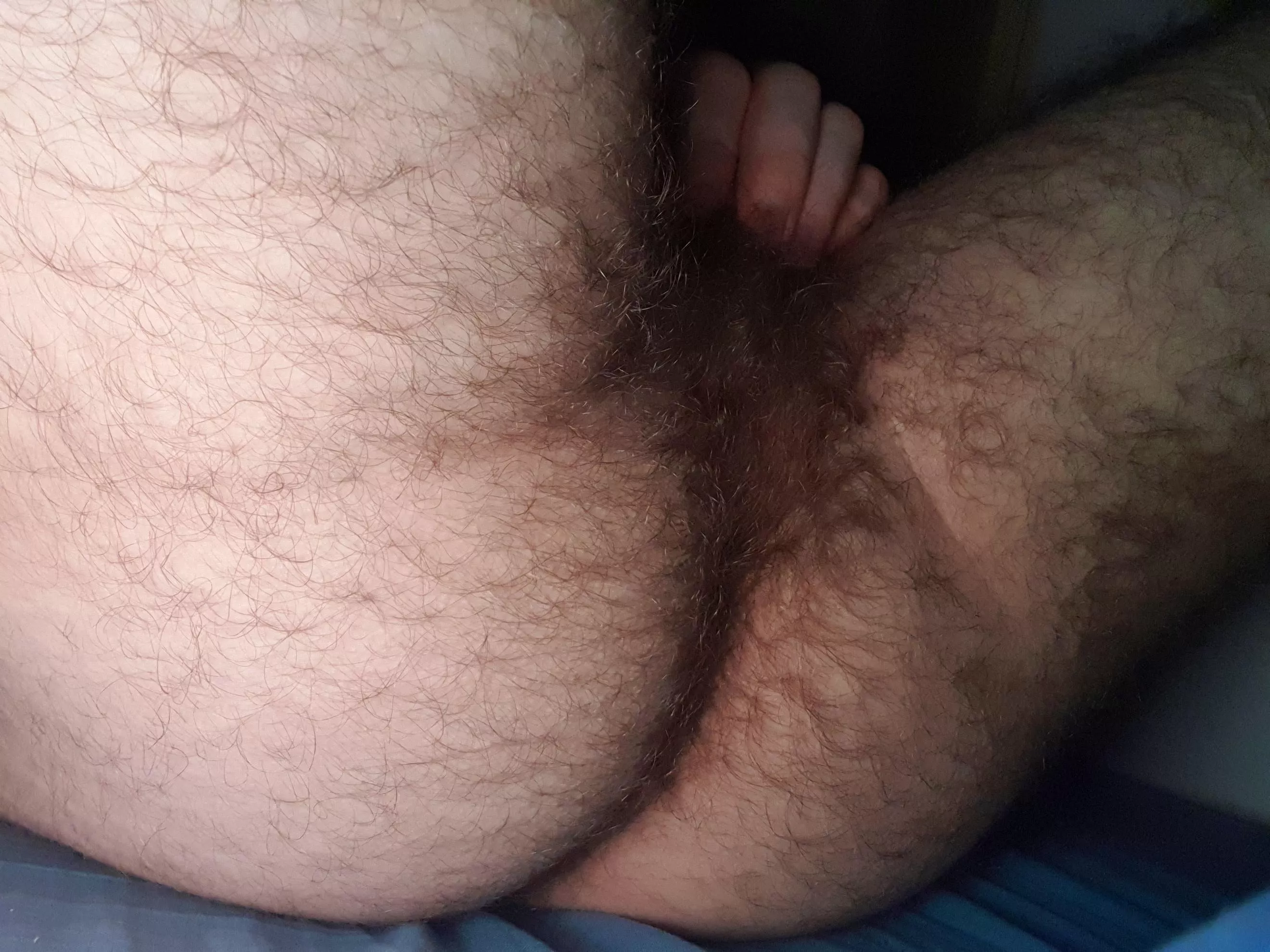 Do you like all these hair? posted by Naughty_Alex1