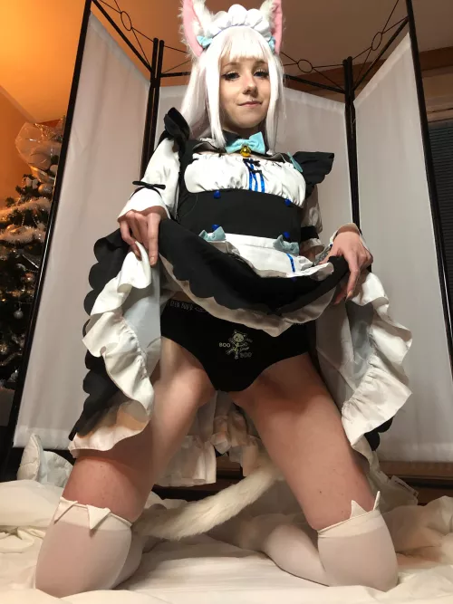 Do you like this kitty? by SunnyOutfield