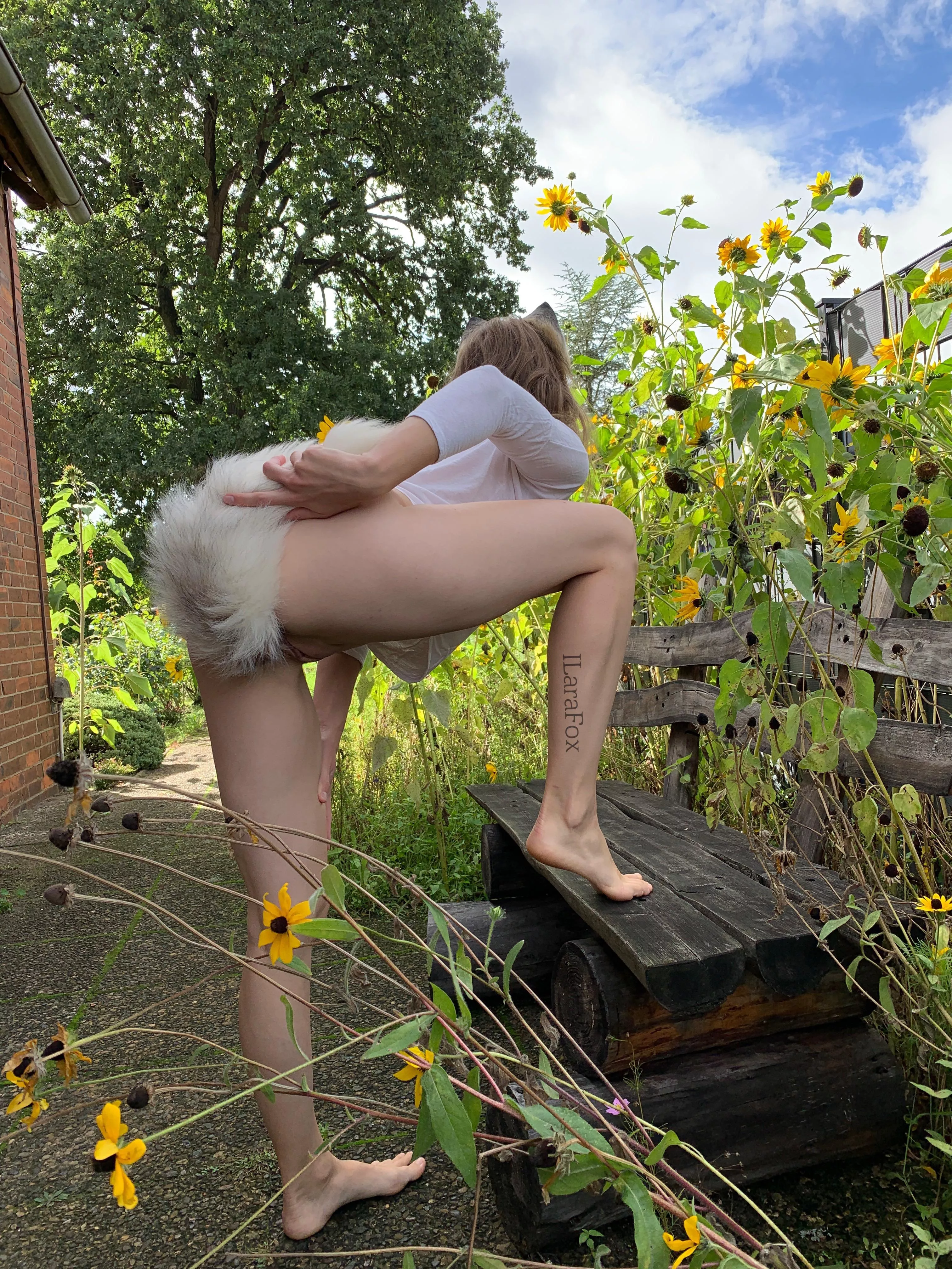 Hunting some flowers 🌻 posted by ILaraFox