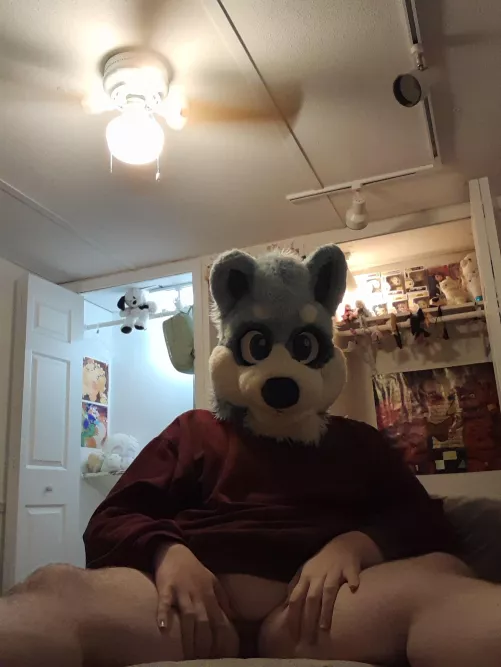 I'll be your good little pup for Halloween if you'll let me~ 🎃🐾 by carefreelillie