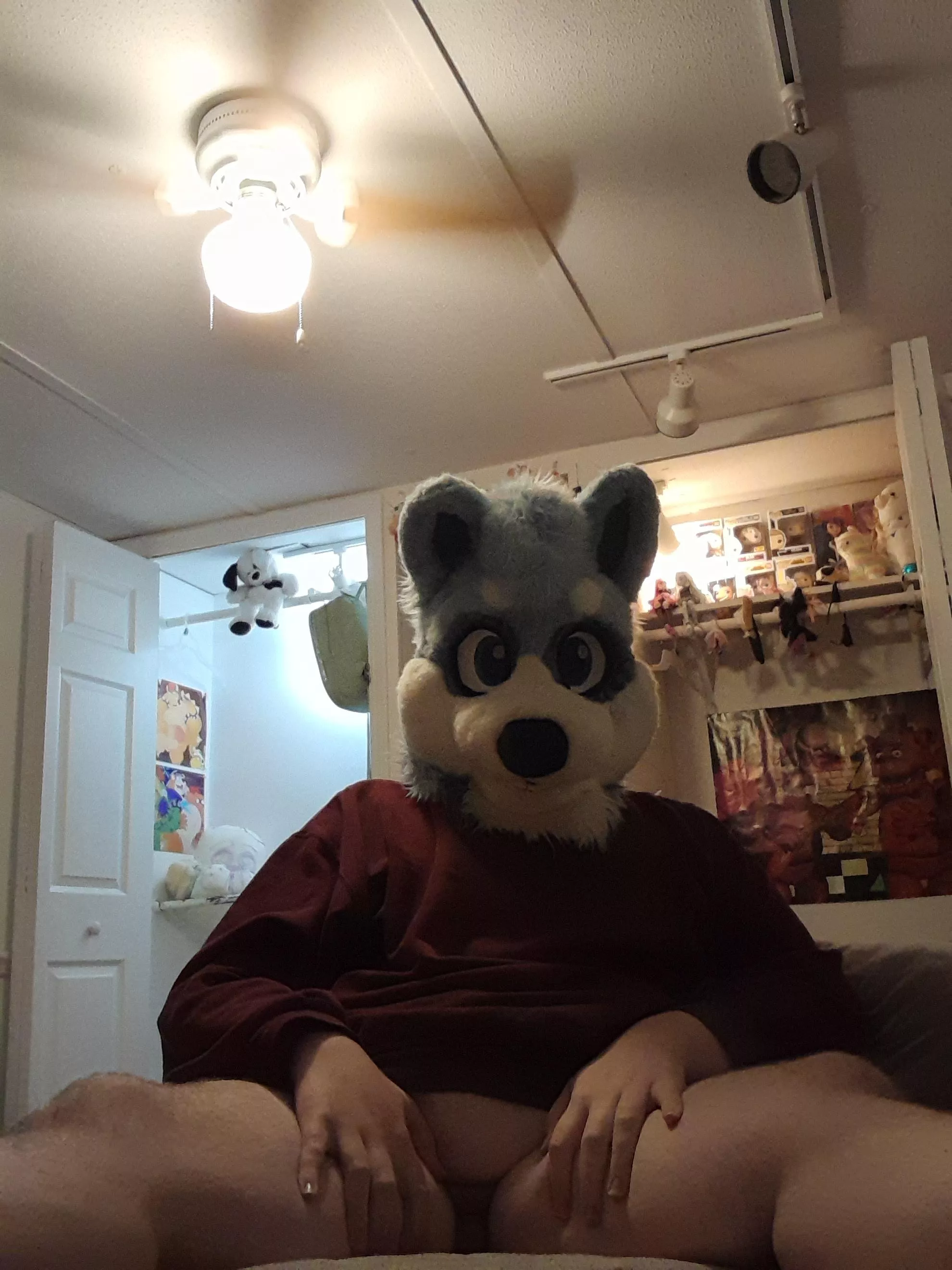 I'll be your good little pup for Halloween if you'll let me~ 🎃🐾 posted by carefreelillie