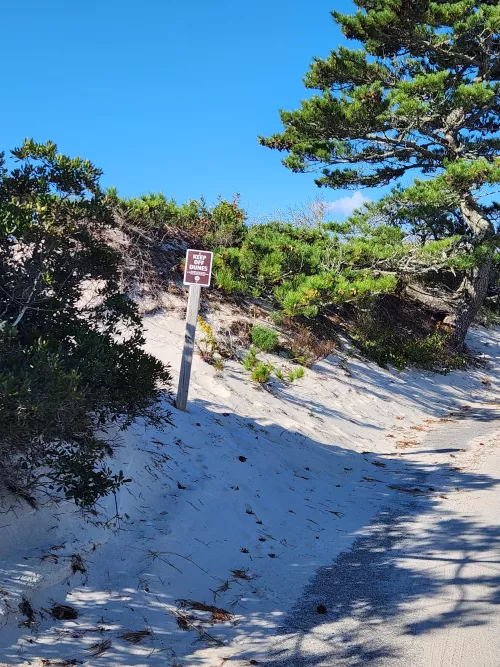 Morning walk 10/9 by Intelligent-Cable-43