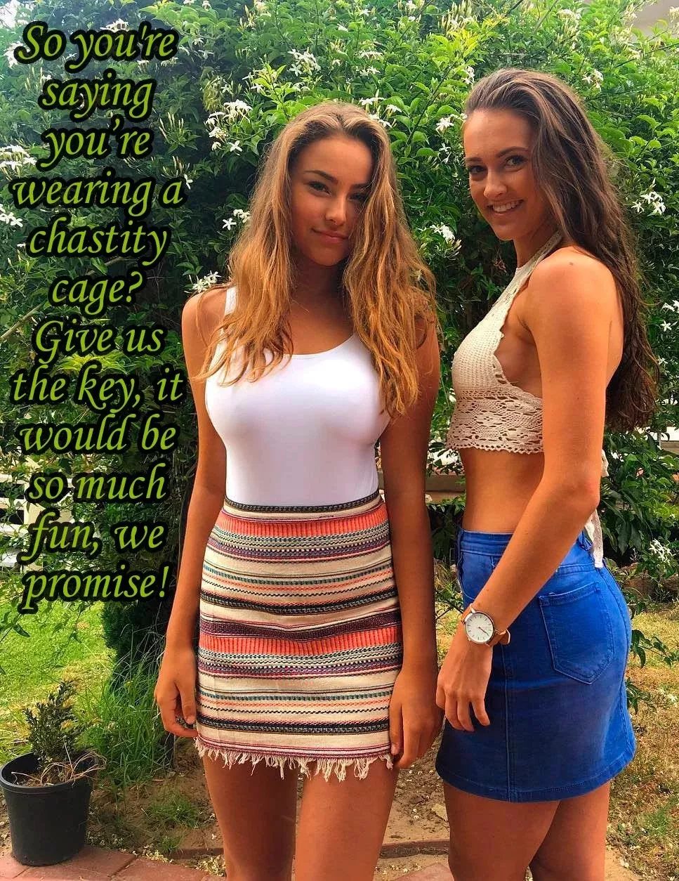 Pals [femdom] [chastity] posted by Apprehensive_Cup_7