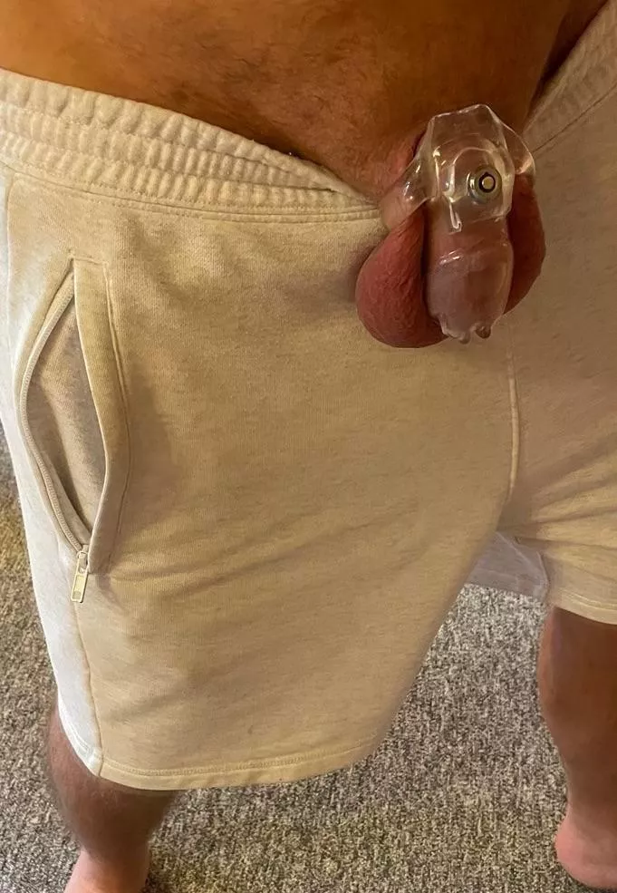 permanently in the cage, submissive and obedient...can I be your cuckold?🥰 posted by Zyxdelux