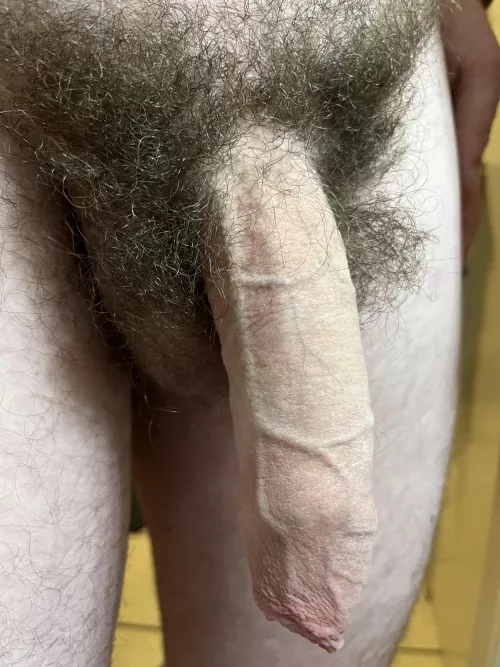 Rare American who didn’t receive the snip by Bkhafbond