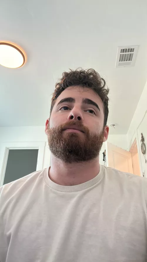 The post trip work email face by SwissCream