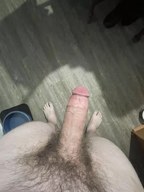 Walking around the house with no bottoms on by Medium_Permission_50