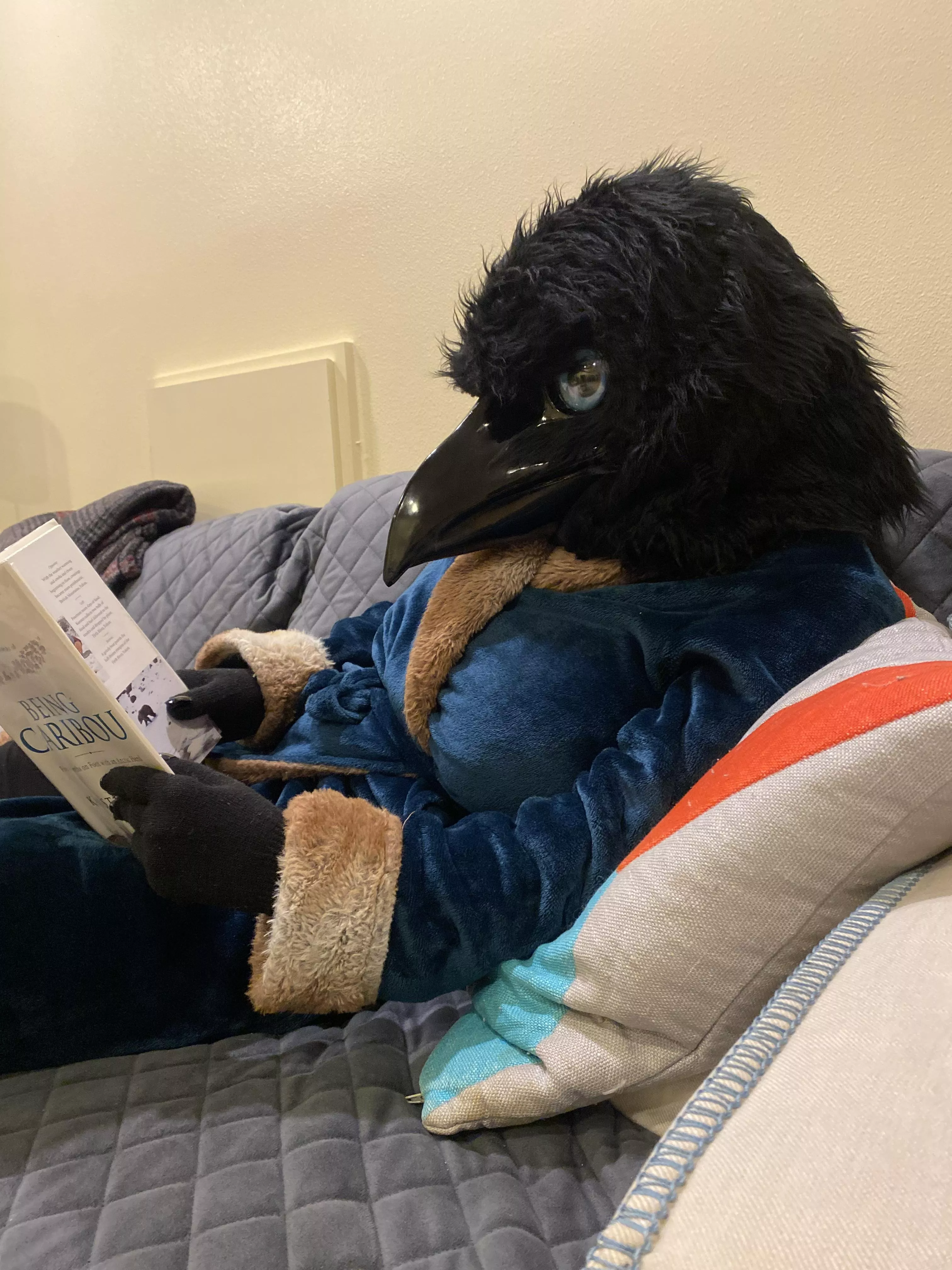 ~Aah, a good book….📖🦌~ (Photo by u/TheGalacticAngler) posted by TheCreepy_Corvid