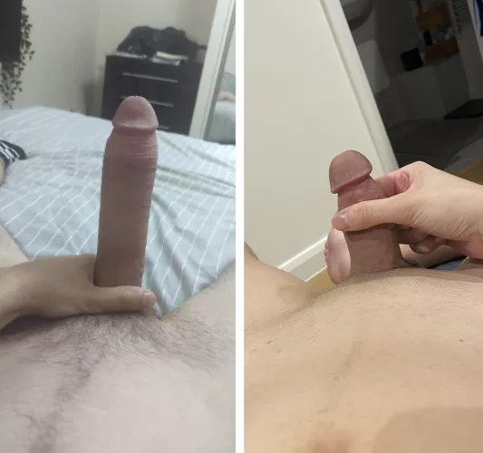 Bf vs bull… by skyeskyskye